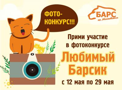 «Барс на Московском» объявляет кошачий фотоконкурс «Любимый Барсик»